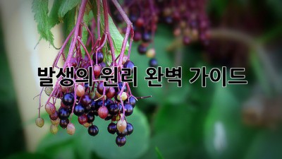 발생의 원리: 완벽 가이드