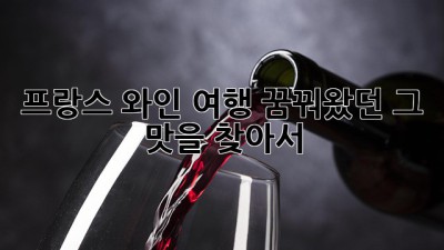 프랑스 와인 여행: 꿈꿔왔던 그 맛을 찾아서🍷