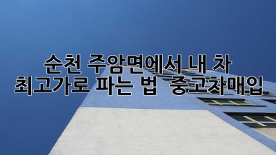 순천 주암면에서 내 차 최고가로 파는 법 🚗💰 #중고차매입