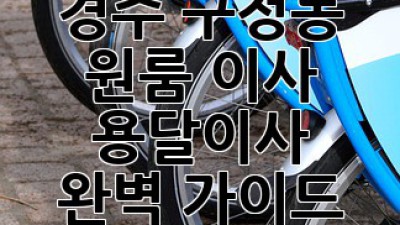 경주 구정동 원룸 이사, 용달이사 완벽 가이드!