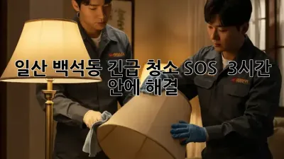 일산 백석동 긴급 청소 SOS 🚨 3시간 안에 해결?!