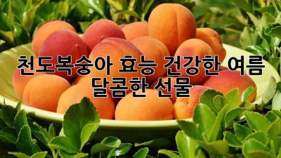 천도복숭아 효능: 건강한 여름, 달콤한 선물